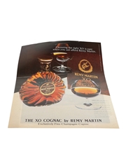 Remy Martin XO Cognac Advertising Print 1985 25cm x 33cm