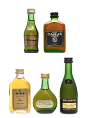 Cognac & Armagnac Miniatures Camus, Hine, Remy Martin, Bisquit, Janneau 5 x 3cl - 5cl / 40%