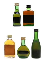 Cognac & Armagnac Miniatures Camus, Hine, Remy Martin, Bisquit, Janneau 5 x 3cl - 5cl / 40%