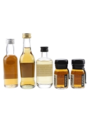 Assorted Whisky & Whiskey  5 x 3-5cl