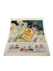Fleischmann's Dry Gin Advertising Print 1939 26cm x 35cm