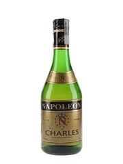 Napoleon Charles De Priessen