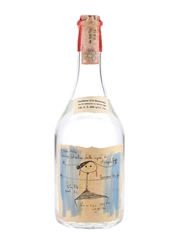 Romano Levi 1975 Grappa Di Unna Donna Selvatica Dalle Vigne Di Angelo Gaja