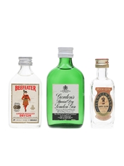 Assorted Gin Miniatures Gordon's, Beefeater, Plym-Gin 3 x 3cl - 5cl / 40%