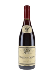 2008 Chambolle-Musigny