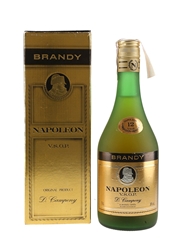 D Campeny Napoleon 12 Year Old VSOP Bottled 1990s - Spain 70cl / 36%