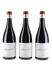 2013 Moncerbal Corullon