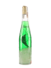 Pinol Ortells Peppermint Liqueur  75cl / 32%