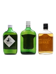Blended Scotch Whisky Half Bottles Cutty Sark, Queen Anne, Black & White 3 x 37.5cl