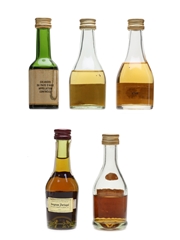 Cognac, Calvados & Brandy Salignac, Martell, Anee 5 x 3cl - 5cl