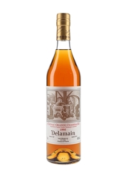 Delamain 1995 Cognac