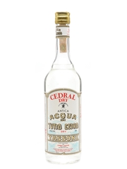 Tassoni Acqua Di Tutto Cedro Bottled 1970s - 1980s 75cl / 32%