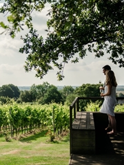 Gusbourne Private Estate Tour, Library Tasting and Lunch