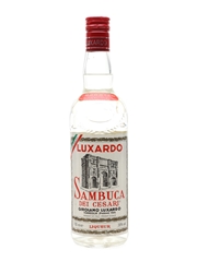 Luxardo Sambuca Dei Cesari  70cl / 38%