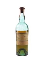 Chartreuse Green