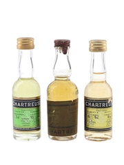 Chartreuse Green & Yellow
