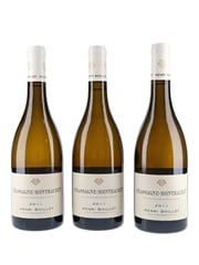 2011 Chassagne Montrachet