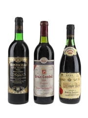 Rioja Wines