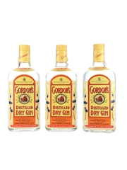 Gordon's Dry Gin