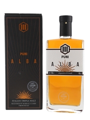 Puni Alba 3 Year Old