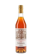 Delamain 1995 Cognac