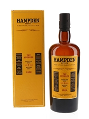 Hampden The Younger 2016 5 Year Old
