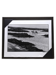 Macallan 2000 Masters of Photography Elliott Erwitt - Horses On Beach 35cl / 60.9%