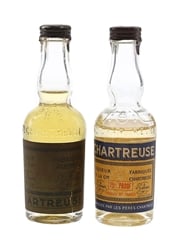 Chartreuse Green & Yellow