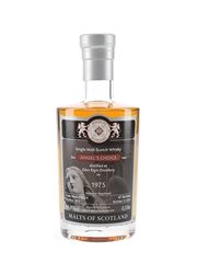 Glen Elgin 1975 Angel's Choice