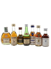 Assorted Cognac's Martell Cordon Bleu & Martell Medallion 6 x 3cl & 4.5cl/ 40%