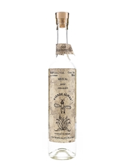 Pierde Almas Mezcal Joven Wild Tepextate