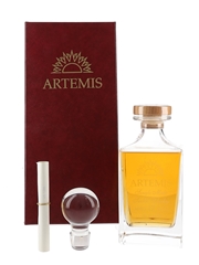 Artemis 12 Year Old