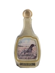 Beam's Choice 8 Year Old German Shorthaired Pointer