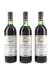 1975 Berberana Gran Reserva Rioja