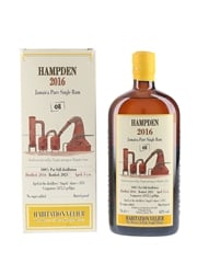 Hampden 2016 HLCF 5 Year Old