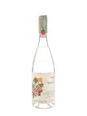Grappa Di Barbaresco