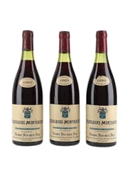 1989 Chassagne Montrachet