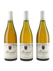 2004 Meursault Clos du Domaine