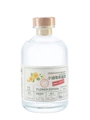 Chrysanthemum Schnapps