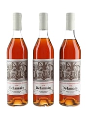 Delamain 1976 Cognac