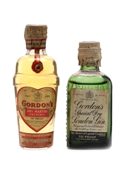 Gordon's Special Dry Gin & Dry Martini
