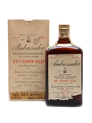 Ambassador 25 Year Old