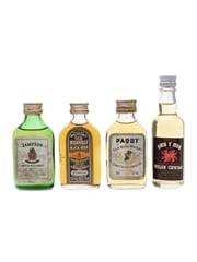Irish & Welsh Whisky Paddy, Bushmills, Jameson, Swn Y Mor 4 x 5cl / 40%