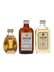 Haig's Dimple, Gold Label & Fine Old Bottled 1980s 3 x 5cl / 40%