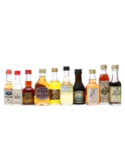 10 x Assorted Spirits & Liqueurs Miniatures 