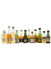 12 x Assorted Cognac Miniatures 