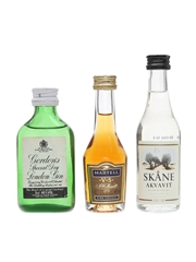 Gordon's Gin, Martell VS, Skane Akvavit  3cl & 2 x 5cl / 40%