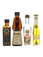 Italian Liqueurs Amaretto Lazzaroni, Frangelico, Millefiori, Strega 4 x 3cl-5cl