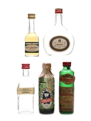 Assorted Spirits Ginebra, Schladerer, Plymouth 5 x 3cl-5cl