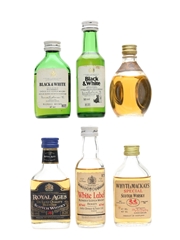 Assorted Blended Scotch Whisky Black & White, Dewar's, Dimple, Royal Ages, Whyte & Mackays 6 x 4.7cl-5cl